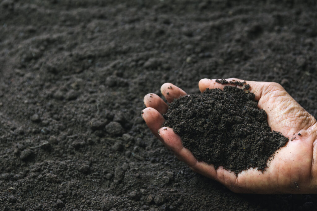 Premium/Planting Loam Topsoil Mole Valley Topsoils